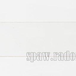 Wewnętrzna szybka ochronna CHAMELEON 3V (ALWP8450) - zdjecie numer 1